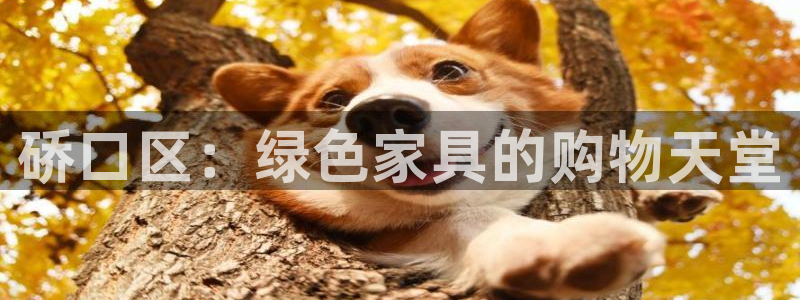 意昂5(KGAME)注册中心：硚口区：绿色家具的购物天堂
