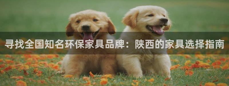 意昂5(KGAME)app怎样申请