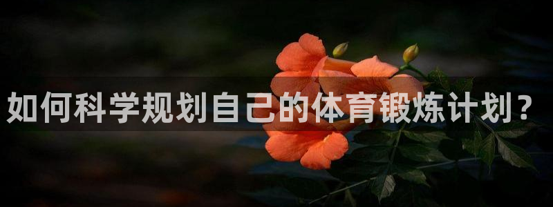 球客岛