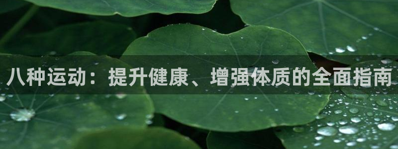 球客岛：八种运动：提升健康、增强体质的全面指南