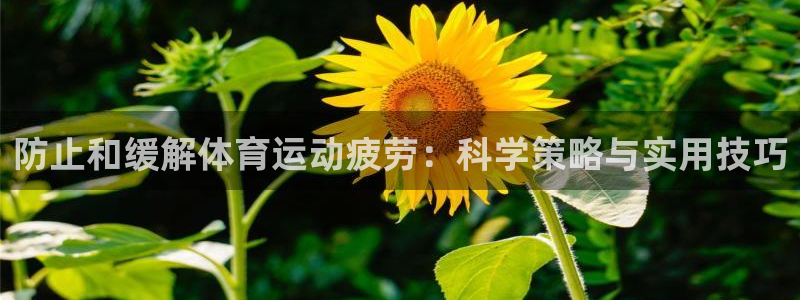 球客岛：防止和缓解体育运动疲劳：科学策略与实用技巧