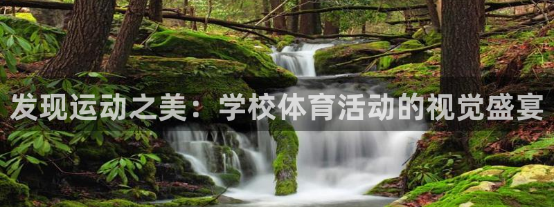 球客岛：发现运动之美：学校体育活动的视觉盛宴