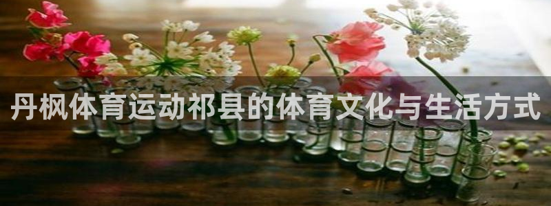 球客岛：丹枫体育运动祁县的体育文化与生活方式