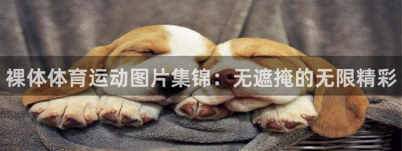 球客岛：裸体体育运动图片集锦：无遮掩的无限精彩