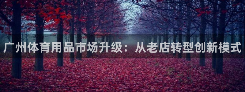 球客岛：广州体育用品市场升级：从老店转型创新模式