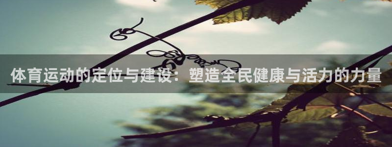 球客岛：体育运动的定位与建设：塑造全民健康与活力的力量